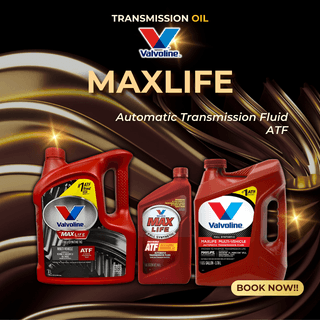 Valvoline MaxLife ATF
